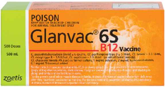 Glanvac b12 500ml
